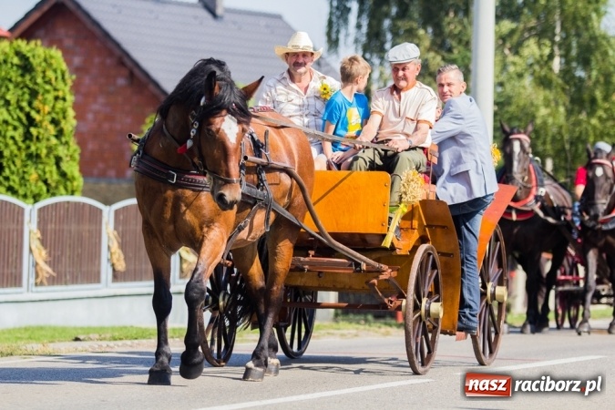 Zdjęcie w galerii na portalu naszraciborz.pl: Dożynki 2015 - złoty pociąg w Samborowicach wiadomości z regionu