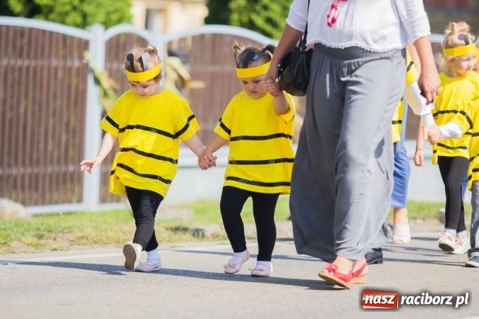 Zdjęcie w galerii na portalu naszraciborz.pl: Dożynki 2015 - złoty pociąg w Samborowicach wiadomości z regionu