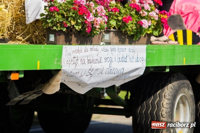 Zdjęcie w galerii na portalu naszraciborz.pl: Dożynki 2015 - złoty pociąg w Samborowicach wiadomości z regionu