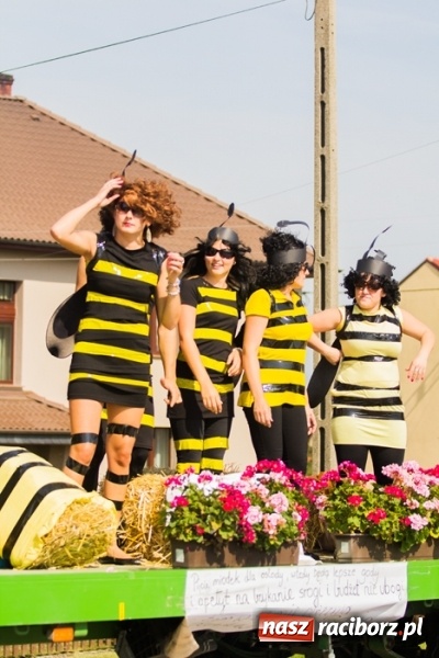 Zdjęcie w galerii na portalu naszraciborz.pl: Dożynki 2015 - złoty pociąg w Samborowicach wiadomości z regionu