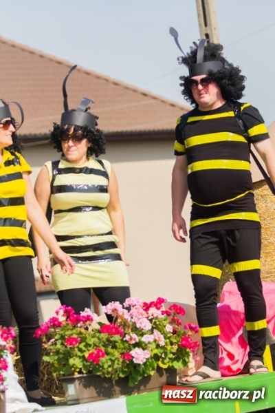 Zdjęcie w galerii na portalu naszraciborz.pl: Dożynki 2015 - złoty pociąg w Samborowicach wiadomości z regionu