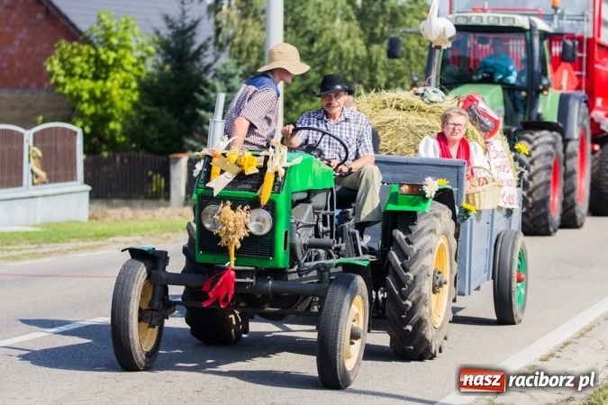 Zdjęcie w galerii na portalu naszraciborz.pl: Dożynki 2015 - złoty pociąg w Samborowicach wiadomości z regionu