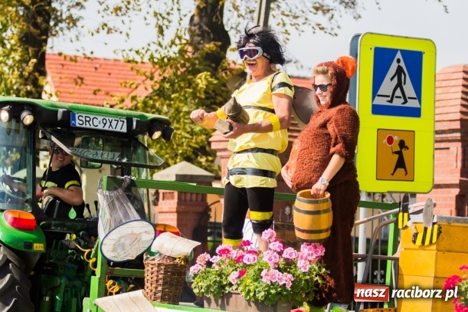 Zdjęcie w galerii na portalu naszraciborz.pl: Dożynki 2015 - złoty pociąg w Samborowicach wiadomości z regionu