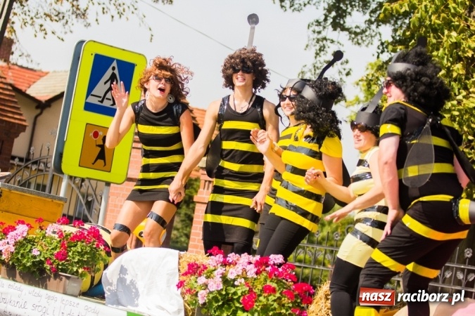 Zdjęcie w galerii na portalu naszraciborz.pl: Dożynki 2015 - złoty pociąg w Samborowicach wiadomości z regionu