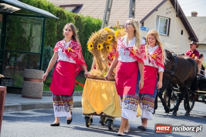 Zdjęcie w galerii na portalu naszraciborz.pl: Dożynki 2015 - złoty pociąg w Samborowicach wiadomości z regionu