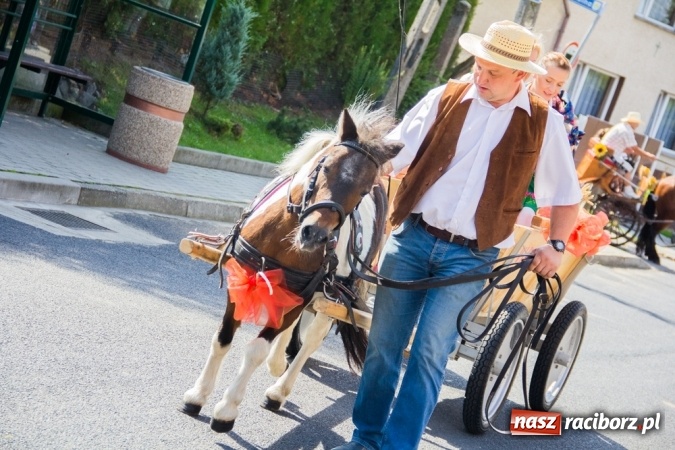 Zdjęcie w galerii na portalu naszraciborz.pl: Dożynki 2015 - złoty pociąg w Samborowicach wiadomości z regionu