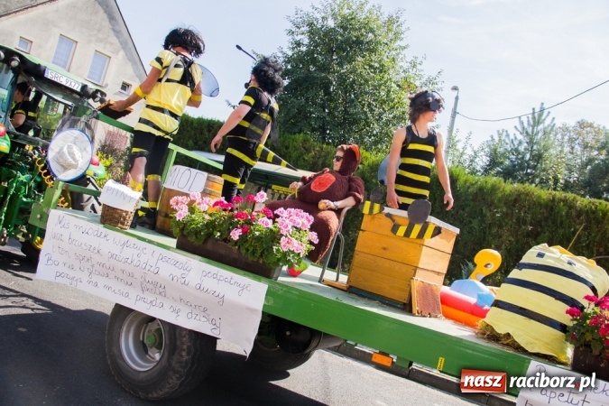 Zdjęcie w galerii na portalu naszraciborz.pl: Dożynki 2015 - złoty pociąg w Samborowicach wiadomości z regionu