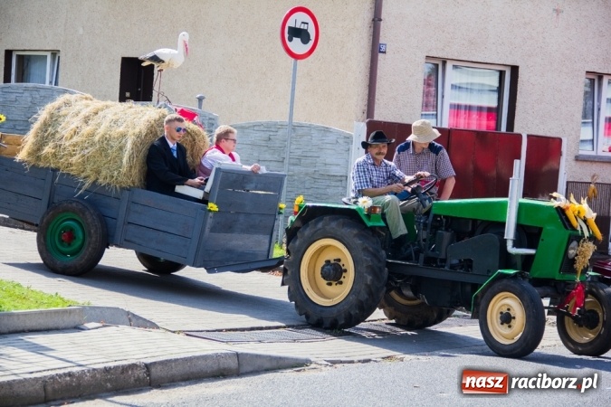 Zdjęcie w galerii na portalu naszraciborz.pl: Dożynki 2015 - złoty pociąg w Samborowicach wiadomości z regionu