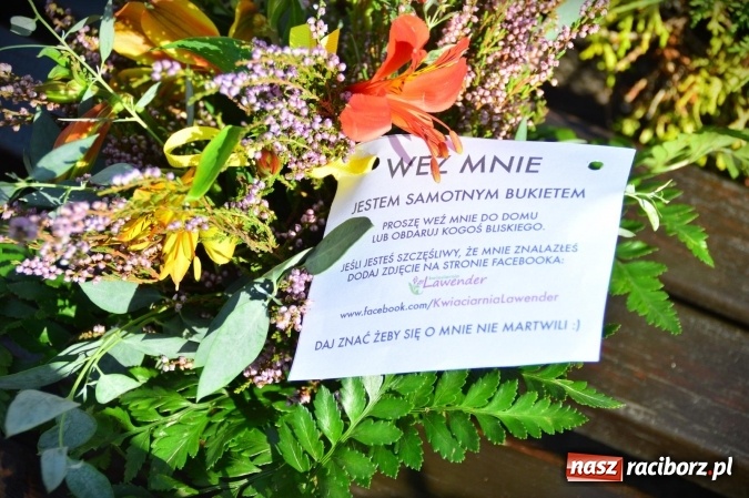 Zdjęcie w galerii na portalu naszraciborz.pl: Tajemnicze bukieciki ozdobiły Racibórz wiadomości z regionu
