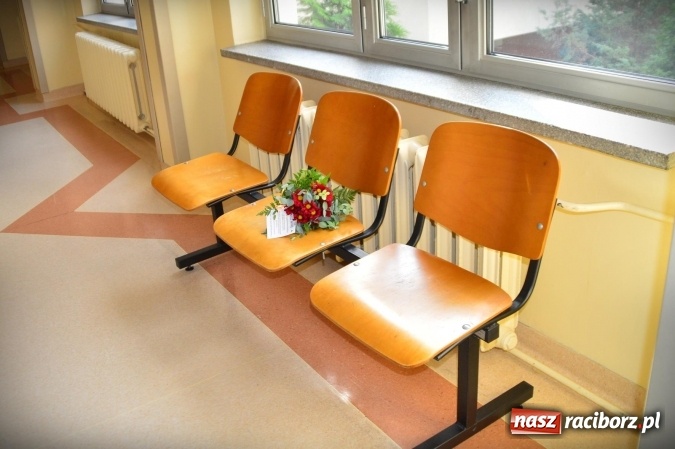 Zdjęcie w galerii na portalu naszraciborz.pl: Tajemnicze bukieciki ozdobiły Racibórz wiadomości z regionu