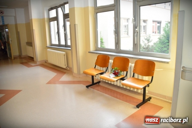 Zdjęcie w galerii na portalu naszraciborz.pl: Tajemnicze bukieciki ozdobiły Racibórz wiadomości z regionu