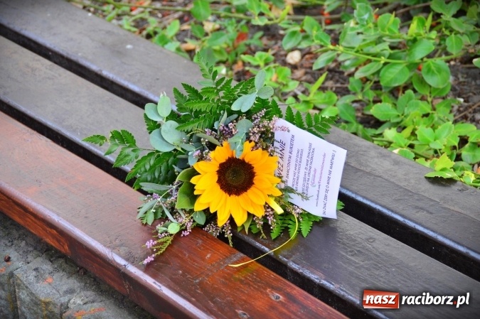 Zdjęcie w galerii na portalu naszraciborz.pl: Tajemnicze bukieciki ozdobiły Racibórz wiadomości z regionu