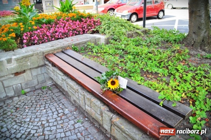 Zdjęcie w galerii na portalu naszraciborz.pl: Tajemnicze bukieciki ozdobiły Racibórz wiadomości z regionu