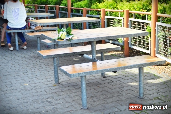 Zdjęcie w galerii na portalu naszraciborz.pl: Tajemnicze bukieciki ozdobiły Racibórz wiadomości z regionu