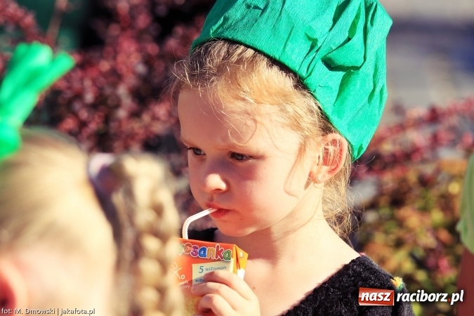 Zdjęcie w galerii na portalu naszraciborz.pl: Ekologicznie na raciborskim rynku już po raz piętnasty wiadomości z regionu