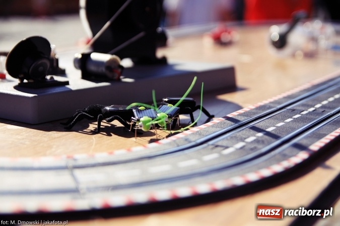 Zdjęcie w galerii na portalu naszraciborz.pl: Ekologicznie na raciborskim rynku już po raz piętnasty wiadomości z regionu