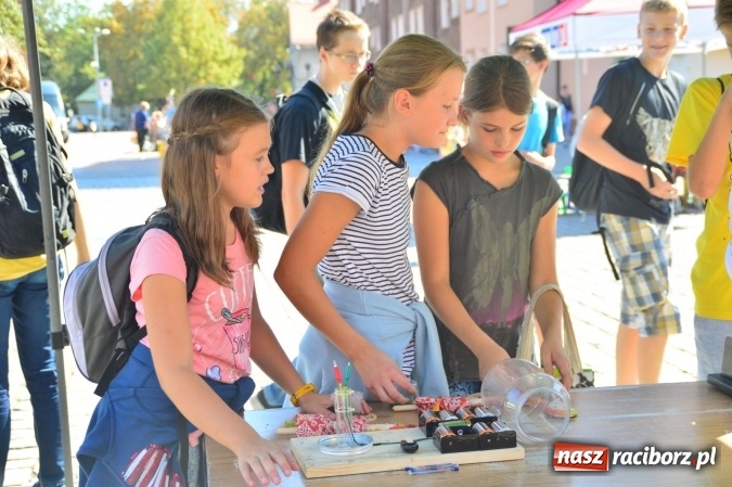 Zdjęcie w galerii na portalu naszraciborz.pl: Ekologicznie na raciborskim rynku już po raz piętnasty wiadomości z regionu