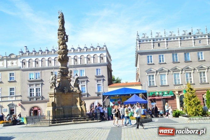 Zdjęcie w galerii na portalu naszraciborz.pl: Ekologicznie na raciborskim rynku już po raz piętnasty wiadomości z regionu