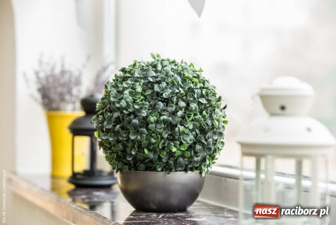 Zdjęcie w galerii na portalu naszraciborz.pl: Po staremu, ale w nowym odnowionym wydaniu, w Restauracji Żurek wiadomości z regionu