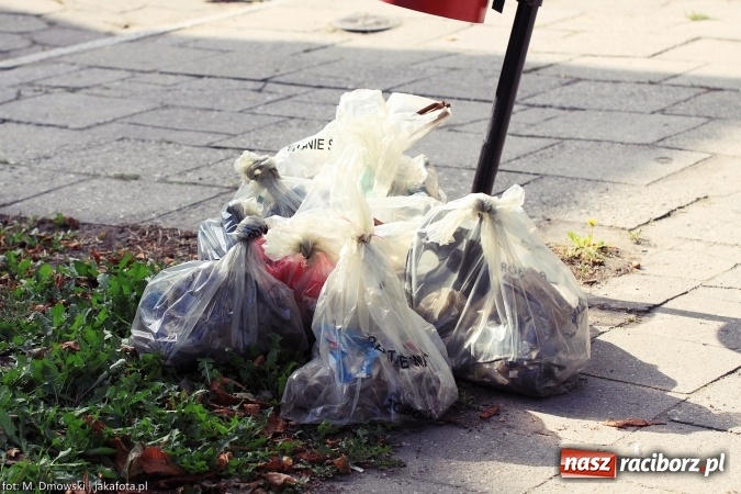 Zdjęcie w galerii na portalu naszraciborz.pl: Sprzątanie świata - uczniowie raciborskich szkół włączyli się w akcję  wiadomości z regionu