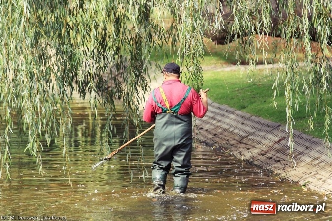 Zdjęcie w galerii na portalu naszraciborz.pl: Sprzątanie świata - uczniowie raciborskich szkół włączyli się w akcję  wiadomości z regionu