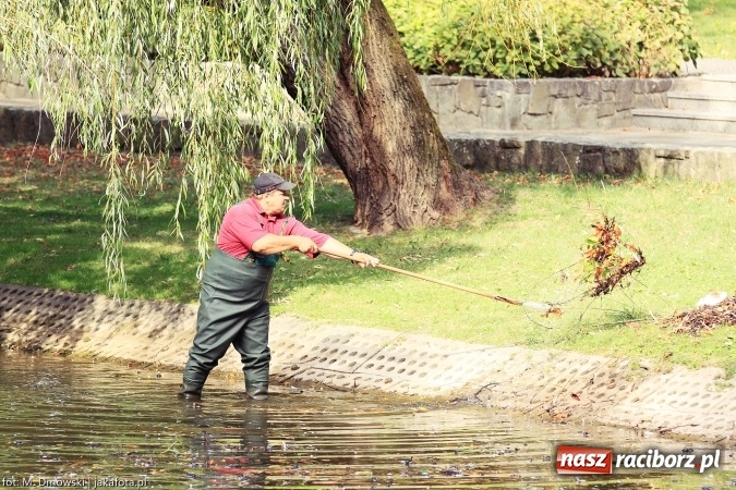 Zdjęcie w galerii na portalu naszraciborz.pl: Sprzątanie świata - uczniowie raciborskich szkół włączyli się w akcję  wiadomości z regionu