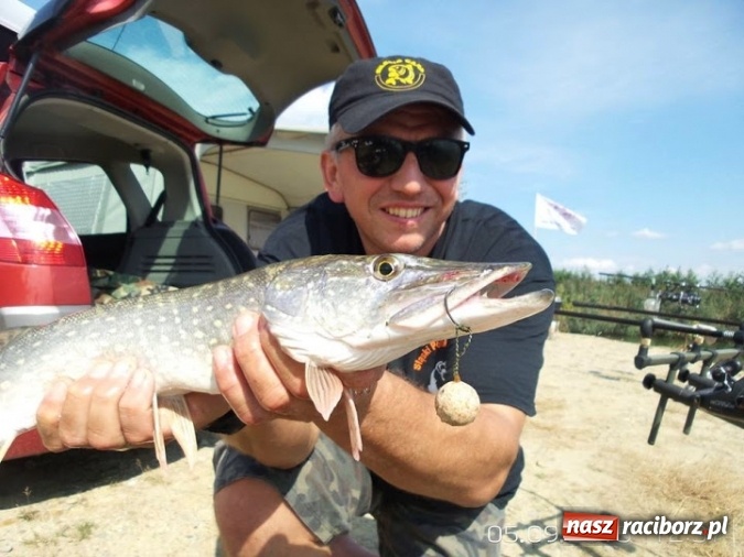 Zdjęcie w galerii na portalu naszraciborz.pl: 535 kilogramów ryb na jesiennych zawodach w Nędzy  wiadomości z regionu