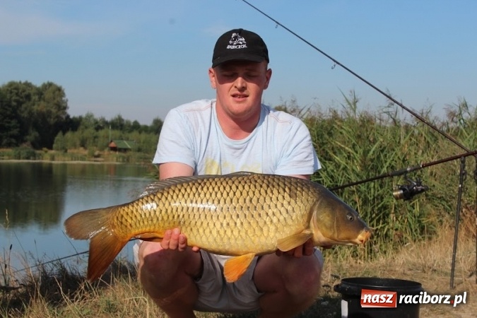 Zdjęcie w galerii na portalu naszraciborz.pl: 535 kilogramów ryb na jesiennych zawodach w Nędzy  wiadomości z regionu