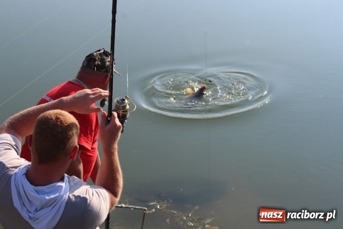Zdjęcie w galerii na portalu naszraciborz.pl: 535 kilogramów ryb na jesiennych zawodach w Nędzy  wiadomości z regionu