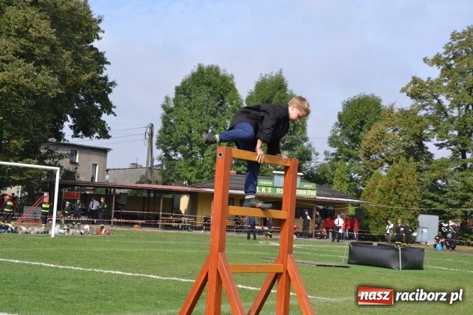 Zdjęcie w galerii na portalu naszraciborz.pl: Zawody strażackie w Tworkowie - znajdź się na zdjęciu wiadomości z regionu