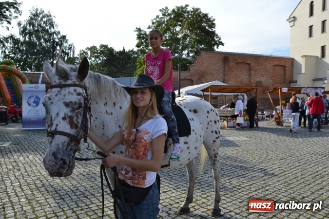 Zdjęcie w galerii na portalu naszraciborz.pl: Gmina Nędza zaprezentowała swoje bogactwo wiadomości z regionu