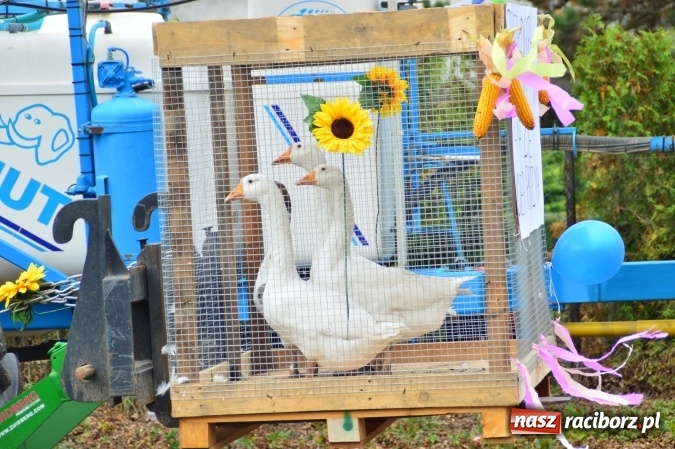 Zdjęcie w galerii na portalu naszraciborz.pl: Dożynki 2015 - Pawłów dziękuje za tegoroczne żniwa wiadomości z regionu