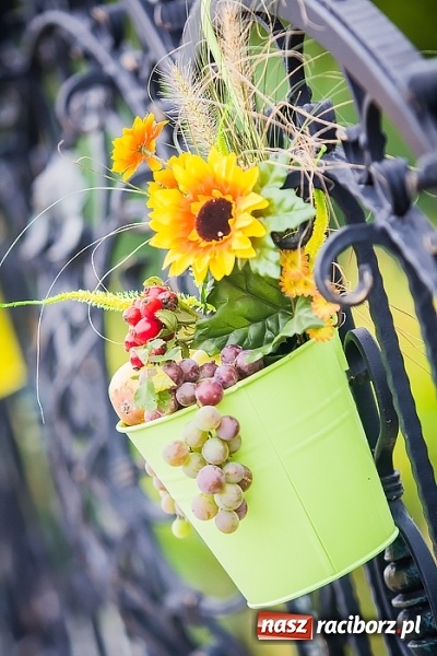 Zdjęcie w galerii na portalu naszraciborz.pl: Dożynki 2015 - Sudół gospodarzem miejskich obchodów święta plonów wiadomości z regionu
