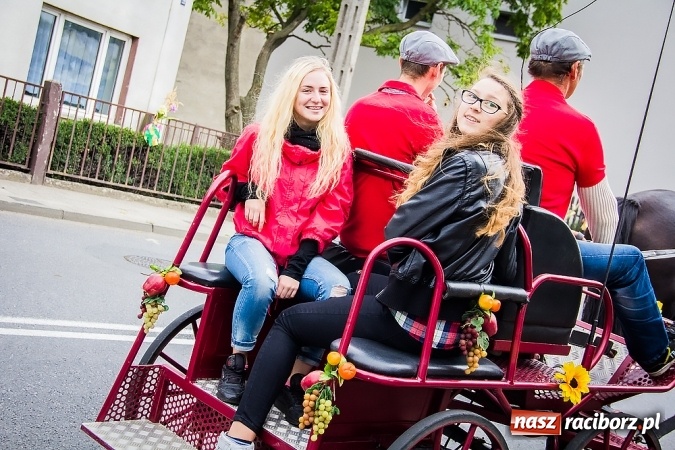 Zdjęcie w galerii na portalu naszraciborz.pl: Dożynki 2015 - Sudół gospodarzem miejskich obchodów święta plonów wiadomości z regionu