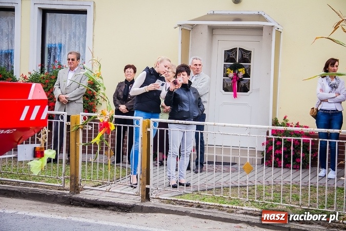 Zdjęcie w galerii na portalu naszraciborz.pl: Dożynki 2015 - Sudół gospodarzem miejskich obchodów święta plonów wiadomości z regionu