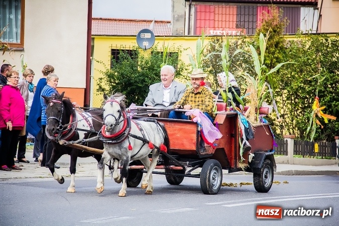 Zdjęcie w galerii na portalu naszraciborz.pl: Dożynki 2015 - Sudół gospodarzem miejskich obchodów święta plonów wiadomości z regionu