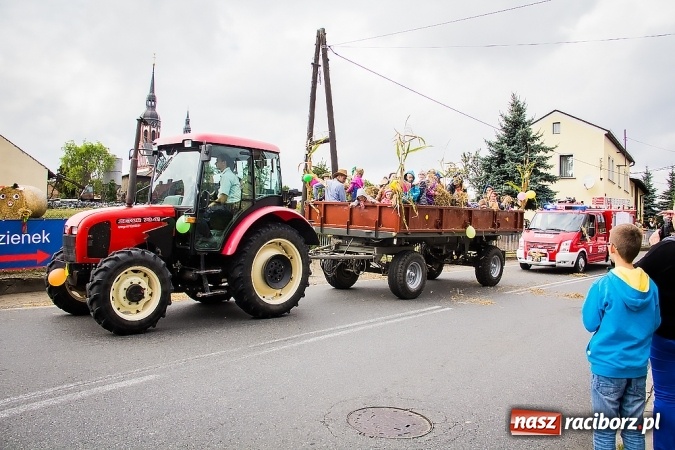 Zdjęcie w galerii na portalu naszraciborz.pl: Dożynki 2015 - Sudół gospodarzem miejskich obchodów święta plonów wiadomości z regionu