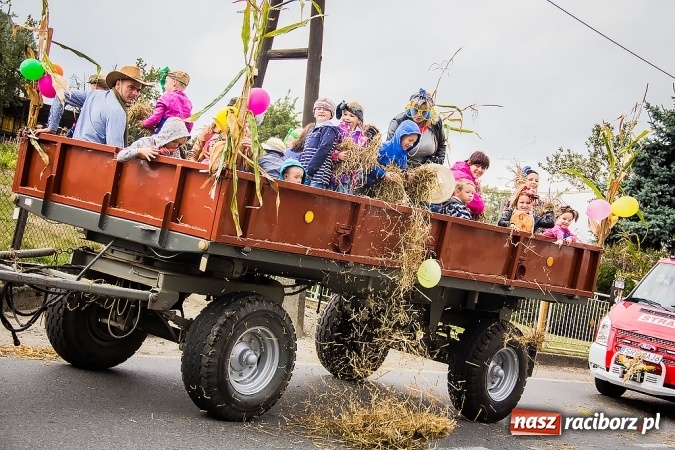 Zdjęcie w galerii na portalu naszraciborz.pl: Dożynki 2015 - Sudół gospodarzem miejskich obchodów święta plonów wiadomości z regionu