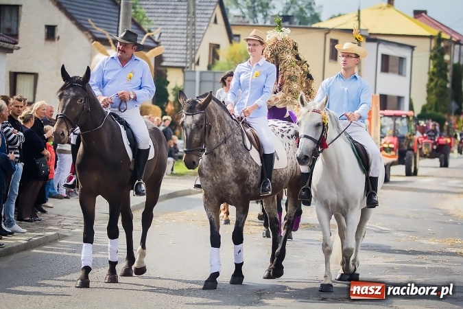 Zdjęcie w galerii na portalu naszraciborz.pl: Dożynki 2015 - Sudół gospodarzem miejskich obchodów święta plonów wiadomości z regionu