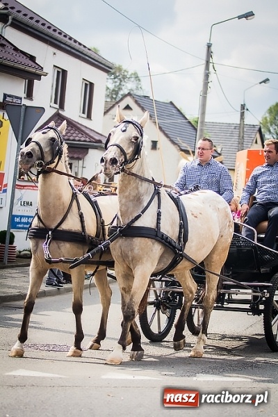Zdjęcie w galerii na portalu naszraciborz.pl: Dożynki 2015 - Sudół gospodarzem miejskich obchodów święta plonów wiadomości z regionu
