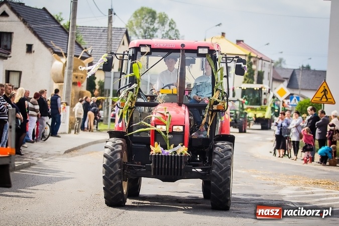 Zdjęcie w galerii na portalu naszraciborz.pl: Dożynki 2015 - Sudół gospodarzem miejskich obchodów święta plonów wiadomości z regionu