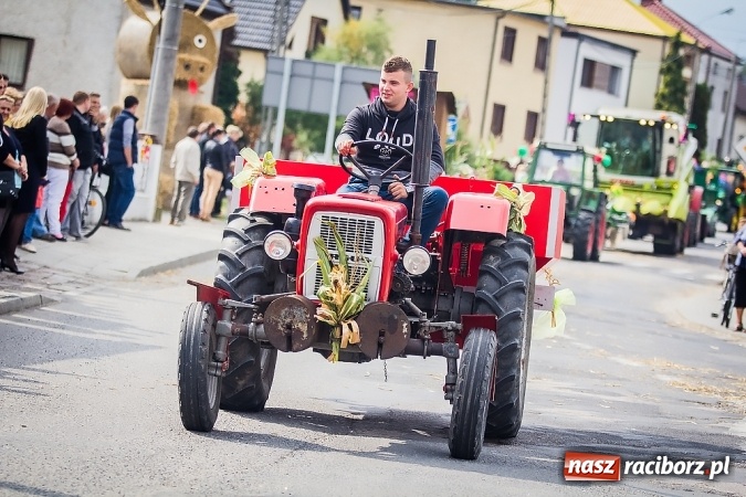 Zdjęcie w galerii na portalu naszraciborz.pl: Dożynki 2015 - Sudół gospodarzem miejskich obchodów święta plonów wiadomości z regionu
