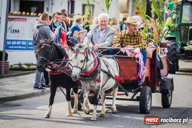 Zdjęcie w galerii na portalu naszraciborz.pl: Dożynki 2015 - Sudół gospodarzem miejskich obchodów święta plonów wiadomości z regionu