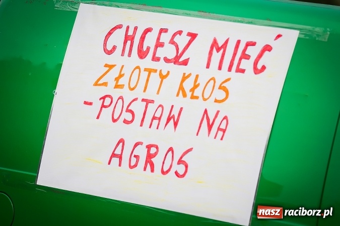 Zdjęcie w galerii na portalu naszraciborz.pl: Dożynki 2015 - Sudół gospodarzem miejskich obchodów święta plonów wiadomości z regionu