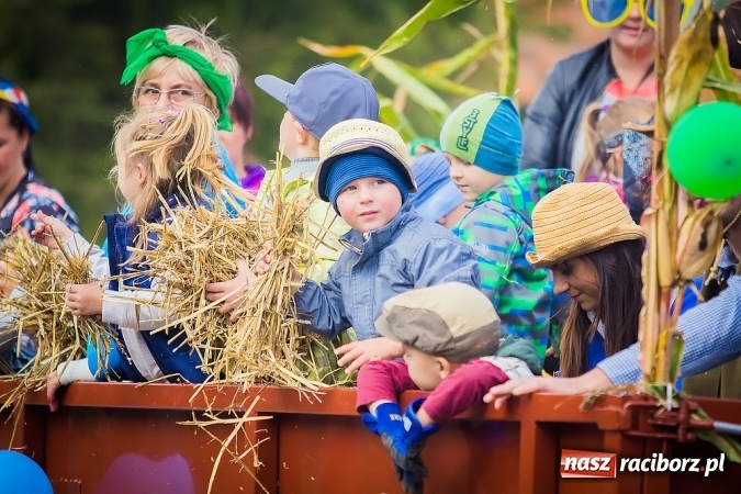 Zdjęcie w galerii na portalu naszraciborz.pl: Dożynki 2015 - Sudół gospodarzem miejskich obchodów święta plonów wiadomości z regionu