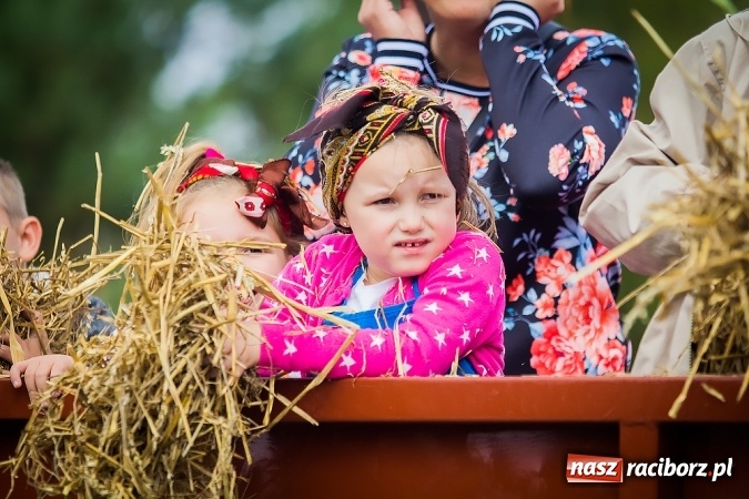 Zdjęcie w galerii na portalu naszraciborz.pl: Dożynki 2015 - Sudół gospodarzem miejskich obchodów święta plonów wiadomości z regionu