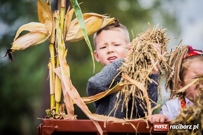 Zdjęcie w galerii na portalu naszraciborz.pl: Dożynki 2015 - Sudół gospodarzem miejskich obchodów święta plonów wiadomości z regionu