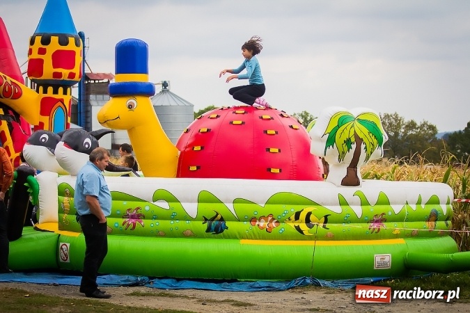 Zdjęcie w galerii na portalu naszraciborz.pl: Dożynki 2015 - Sudół gospodarzem miejskich obchodów święta plonów wiadomości z regionu