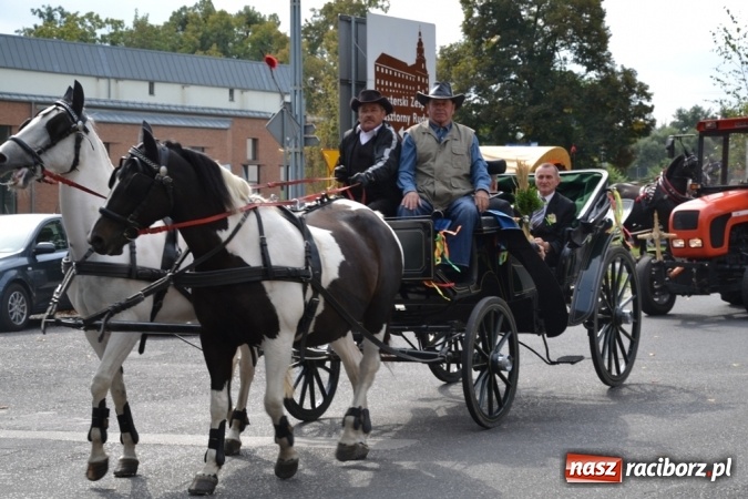 Zdjęcie w galerii na portalu naszraciborz.pl: Wstrząśnijmy naszymi sumieniami i podzielmy się chlebem! Dożynki Diecezji Gliwickiej w Rudach wiadomości z regionu