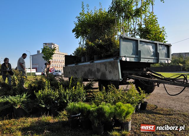 Zdjęcie w galerii na portalu naszraciborz.pl: Racibórz zalewają śmieci  wiadomości z regionu